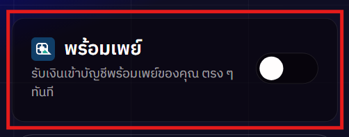payment_pp1