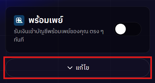 payment_pp2